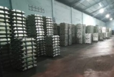  Direktur PT SIP Lapor ke Polda Babel, Timah & Solar Diangkut?