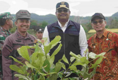Kodim 0413/Bangka Tanam 2500 Bibit Pohon di Bangka Tengah 