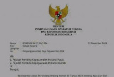 Ada 4 Instruksi Men-PAN RB Selamatkan Honorer