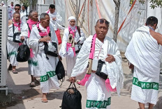 Para Jamaah Haji Mulai Tempati Tenda di Arafah