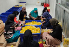 UMKM Binaan Pertamina Rangkul Ratusan Petani