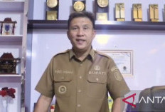 Bupati Optimis Terima Royalti PT Timah Rp 400 M
