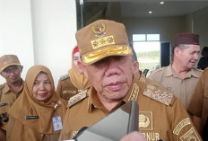 Pemprov Siapkan 1.000 Hektare Untuk Kebun kelapa