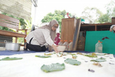 Batik Pakkis Hadirkan Motif Balok Timah