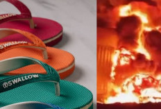  Pabrik Sandal Legendaris Swallow Terbakar