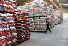 Pemprov Akan Menindak Tegas Pengoplos Beras