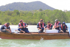 PT Timah Lepaskan Ribuan Bibit Kepiting di Perairan Kundur dan Karimun untuk Menjaga Populasi Kepiting Bakau 