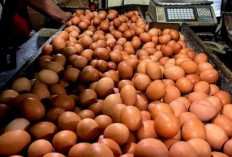 Harga Telur Ayam Rp29.300/kg, Bawang Merah Rp43.800/kg