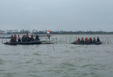 TNI AL Sebut Pembongkaran Pagar Laut Sudah 20,7 Km