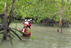 PT Timah Rutin Pantau Bioata Laut