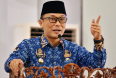 Kepala BKN: Hanya PNS dan PPPK, Stop untuk Honorer!