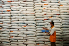 Stok Beras Nasional Tembus 4,2 Juta Ton