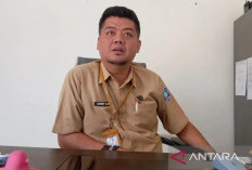 BPBD Babel Waspadai Karhutla di 14 Titik Panas