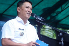 Skema Gaji Tenaga Non Database Pemkab Bangka