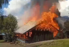  OPM Papua Bakar Sekolah 