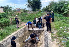 Himaserda Unmuh Babel Bersihkan Saluran Irigasi Namang