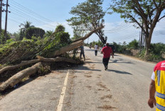 Jalan Utama Aceh Bisa Dilalui