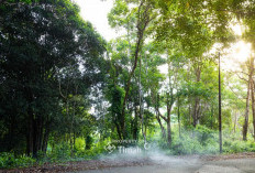 Langkah Nyata PT Timah Menuju Keberlanjutan