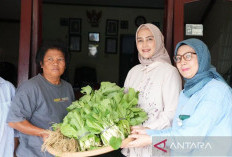 TP PKK Babel Panen Perdana Digital Farming