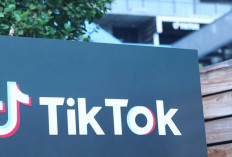 Eks Menkeu AS Kumpulkan Investor untuk Beli TikTok
