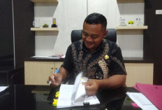 Pendapatan Daerah Bangka Selatan Masih Didominasi Dana Transfer