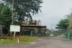 Dugaan Tipikor 'Warisan PT Koba Tin', Siapa Bakal Terseret?