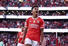 Napoli Dapatkan Penyerang Sayap Benfica 