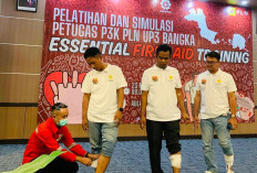 PLN Komit Wujudkan Budaya Kerja Mengutamakan K3