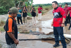 Panas Menyengat, Petani Padi Desa Rias Ketar-Ketir