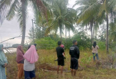 Amfibi Mendarat di Belitung