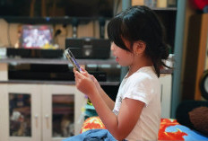 Pemprov Dukung Komdigi Batasi Pengunaan Medsos Anak