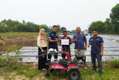 PT Timah Terus Dukung Petani Lokal