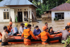 Gelondongan Kayu Hambat Basarnas 