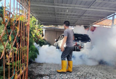 Ratusan Warga Terserang Penyakit DBD