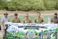 PLTU Bangka Tanam 500 Bibit Bakau di Pantai Takari