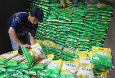 SPHP Beras 2025 Diperpanjang Hingga 31 Januari