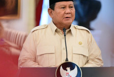 Ada Bintang di Balik Tambang?