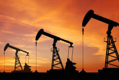  Minyak Dunia Terjun Bebas 