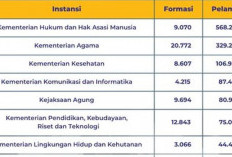 Pendaftaran CPNS 2024 Sudah Berakhir, Instansi Pusat Peminat Terbanyak!