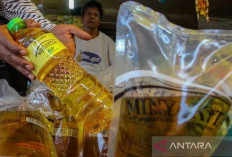 HET Minyakita Tetap Rp15.700 per Liter