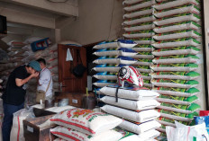 Stok Beras Aman Tetapi Kosong di Pasaran