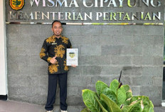 Kementan RI Akui Tiga Varietas Padi Unggul dari Kabupaten Bangka 