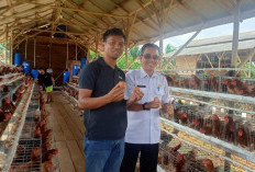 Pemdes Bangkakota Kembangkan Bisnis Telur Ayam