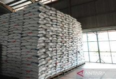 Bulog Belitung Pasok 875 Ton Beras Hadapi Ramadan