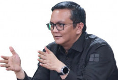 Kebijakan Pemerintah Mulai Juni, Harga TBS Sawit Rontok, di Bangka Terpuruk