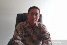 BPBD Bangka Tengah Imbau Warga Tidak Bakar Lahan