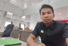 Dewan Minta Pengusaha Walet di Basel Kooperatif