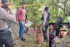 Pembunuhan Gadis Penjual Gorengan Padang Pariaman, Kisah Sedih Nan Viral, Semoga Terkuak