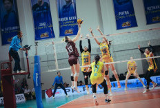 Jakarta Electric PLN Mobile Sukses Amankan Tiket Final Four Proliga 2026