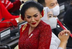  Ketika Para Artis Maju Pilkada 2024, Soal Memilih, Lihat Nanti Saja